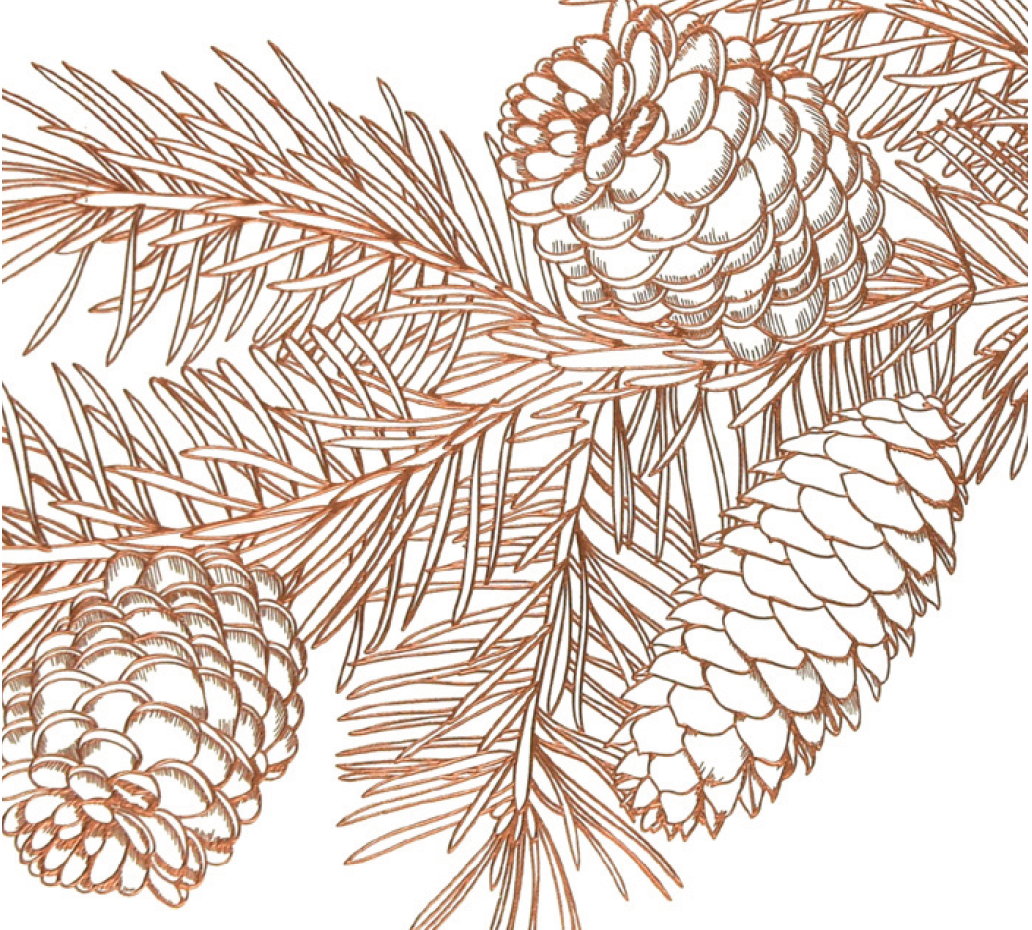 Pinecone Christmas Card