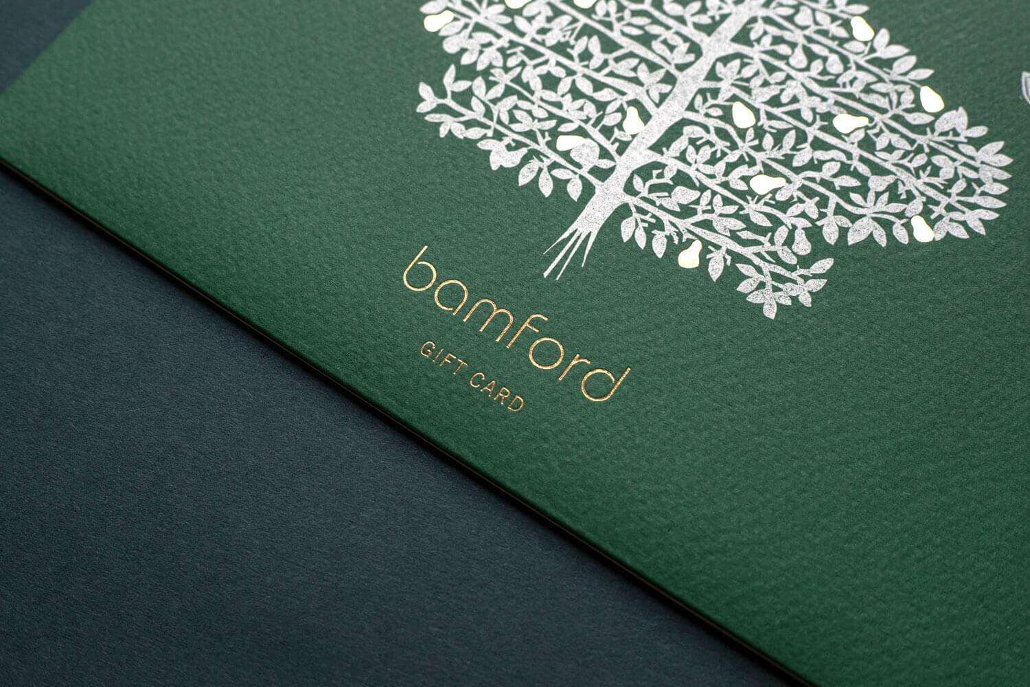 gold foil logo printed onto green gift card corporate stationery
