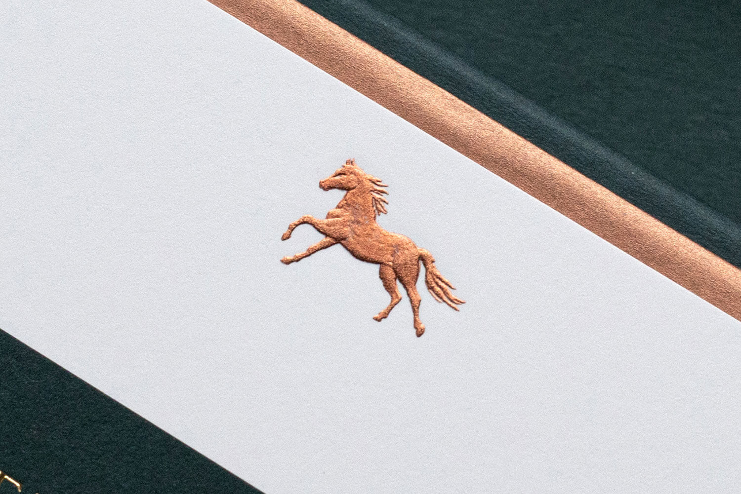 Bronze Engraved Horse